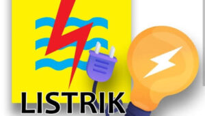 Pemadaman Listrik Meluas di Jakarta, IWO Soroti Kinerja Dirut PLN