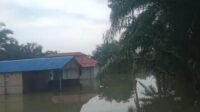 IMG-20260911-WA0078